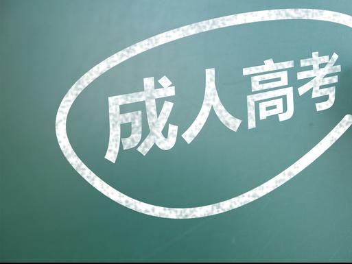 阜陽成人高考 必須驗證身份